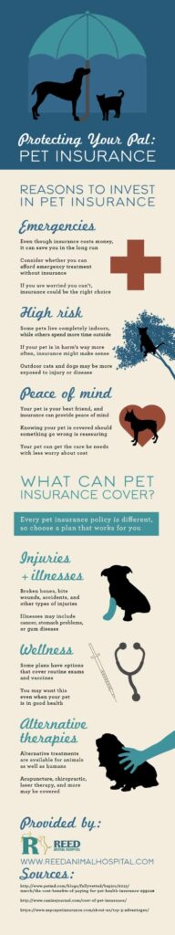 Pet Insurance Infographic