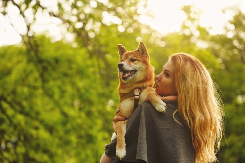 female dog hormone imbalance treatment