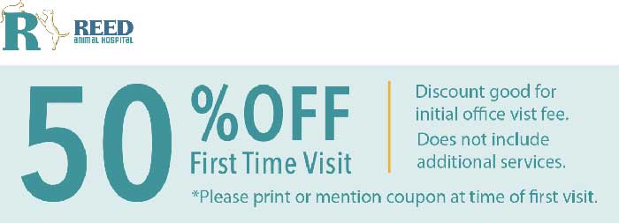 50% off first veterinarian visit