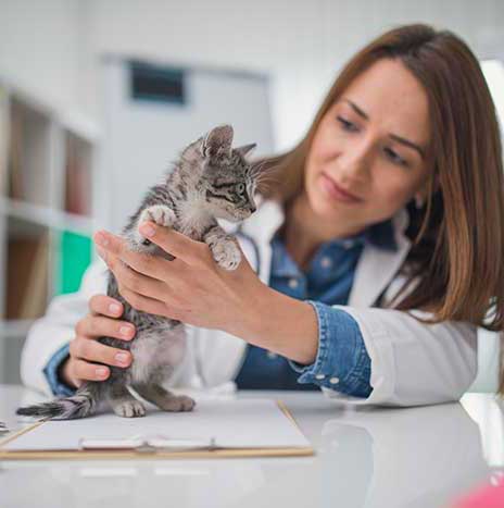 Women with kitten
