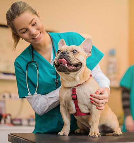 Nurse with dog
