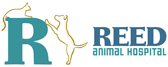 Reed Animal Hospital