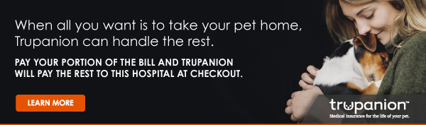 Trupanion pet insurance
