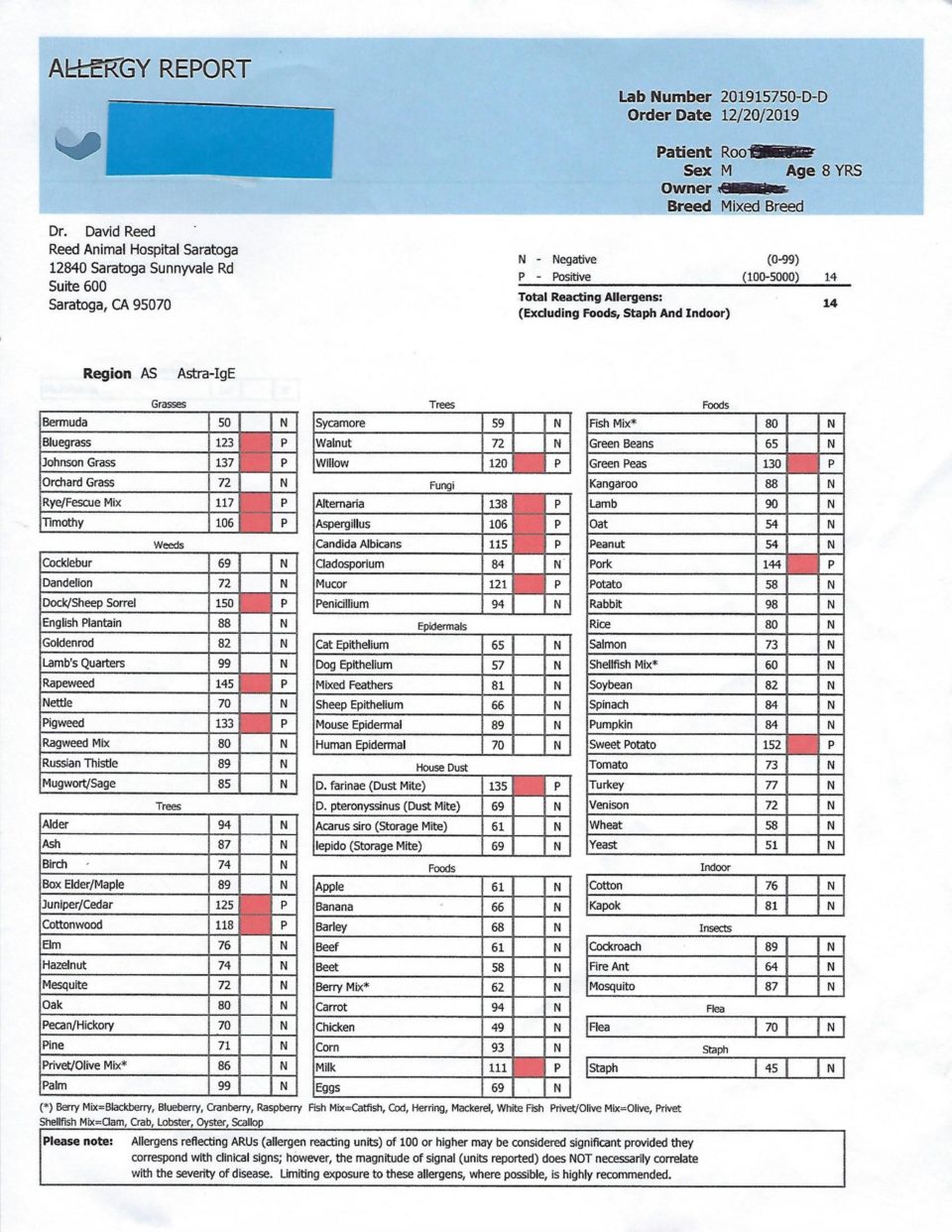 allergy results for a dog