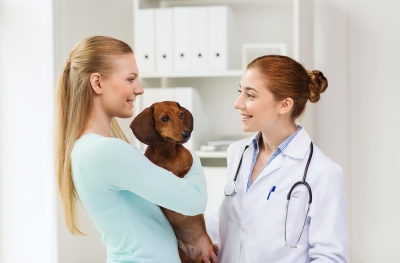 Pet Microchipping at Reed Animal Hospital