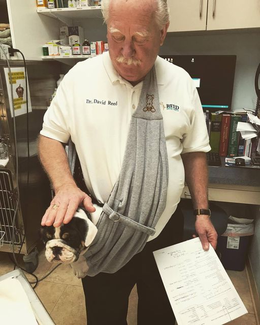 dr. david reed with dog