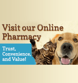 Online Pharmacy