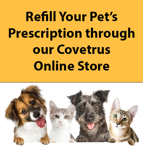 Reed_Pharmacy-removebg-preview2